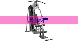 家用乒乓球台送发球机.txt