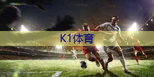 创意儿童木质游乐设施的功能与游戏方式介绍。