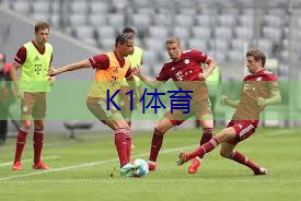 户外的乒乓球台用什么材质好