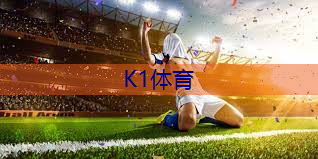 乒乓球台飞凯乐