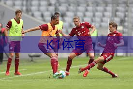 小米6室内健身床