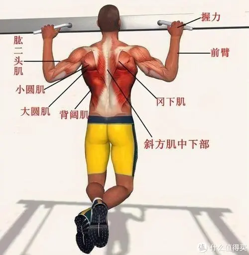 蒂姆大师赛网球拍
